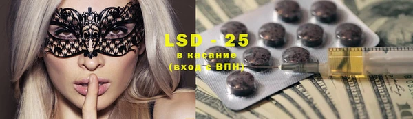 индика Покров