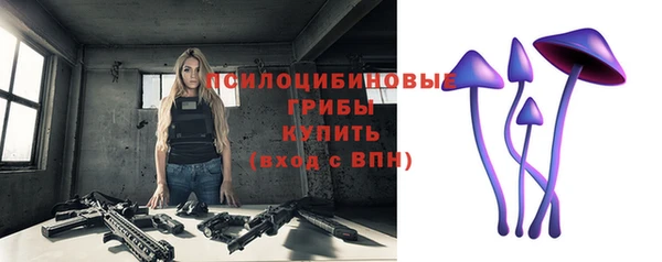 круглые Арсеньев