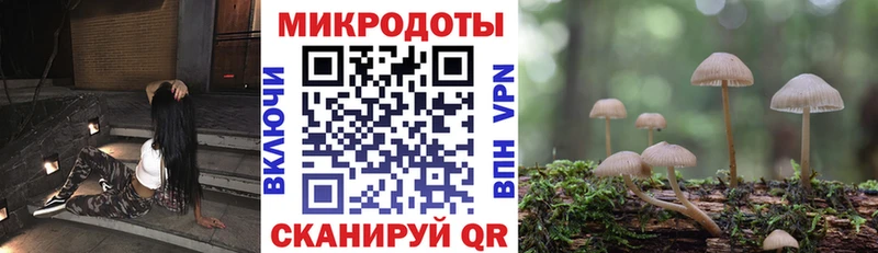 Галлюциногенные грибы Psilocybe Калачинск